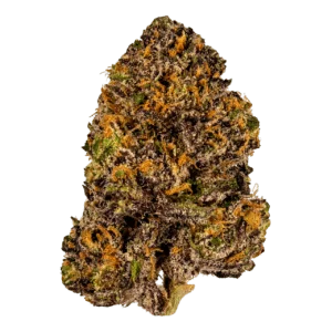 Fleur Purple CBD violette premium - Naturellement CBD