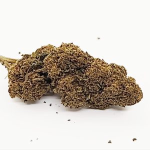Mota Molécule CBX CBG CBN