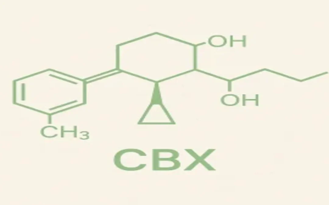 CBX : molécule ou nom commercial ? Ce qu’il faut vraiment savoir
