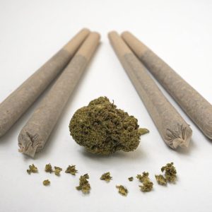 Pré - Rolls CBD Damiana