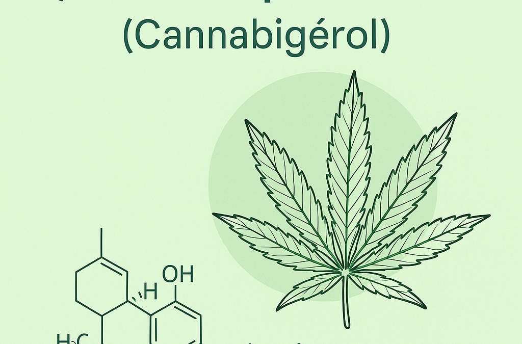 Qu’est-ce que le CBG ? (Cannabigérol)
