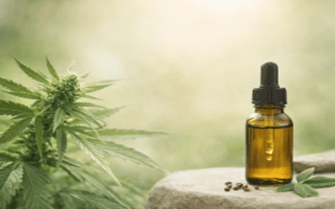 fleur de chanvre et huile de CBD sur fond naturel