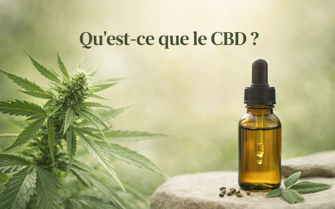 Qu’est-ce que le CBD ?