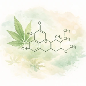 Illustration artistique de la formule moléculaire du CSA avec feuille de chanvre sur fond vert pâle